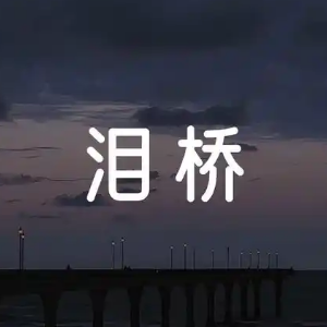 泪桥-钢琴谱