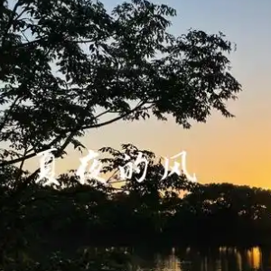夏夜的风钢琴简谱 数字双手