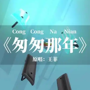 匆匆那年-钢琴谱