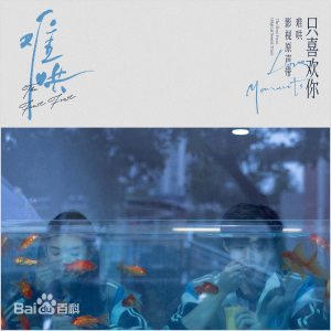 My Dear-张洢豪原调弹唱谱-电视剧《难哄》插曲