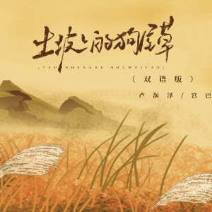 《土坡上的狗尾草》高度还原钢琴版 - 声不可测-钢琴谱