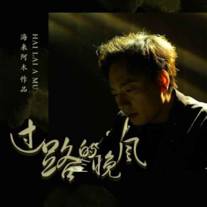 过路的晚风钢琴简谱 数字双手 海来阿木