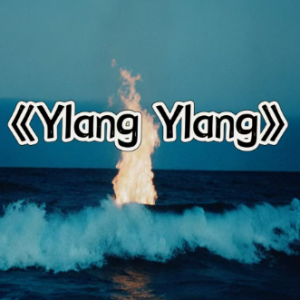 Ylang Ylang钢琴简谱 数字双手