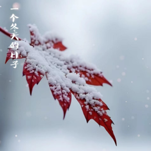 一个冬天的日子/A Winter's Day 【唯美】-钢琴谱
