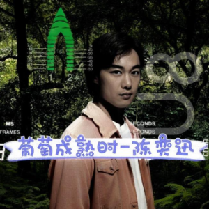 葡萄成熟了钢琴简谱 数字双手