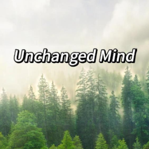 Unchanged Mind钢琴简谱 数字双手