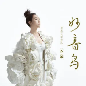 妙音鸟 - 云朵 C调-钢琴谱