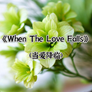 When The Love Falls钢琴简谱 数字双手