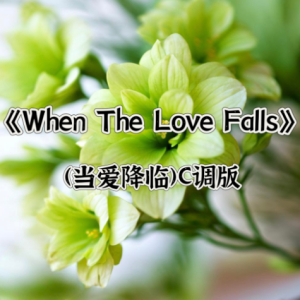 When The Love Falls钢琴简谱 数字双手