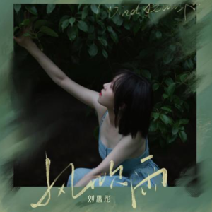 风吹雨-钢琴谱