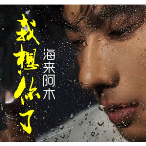 我想你了 完整精编版-钢琴谱