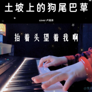 土坡上的狗尾巴草（a小调 弹唱伴奏谱）高度还原 完整版 超好听-钢琴谱