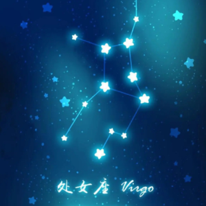 处女座VIRGO