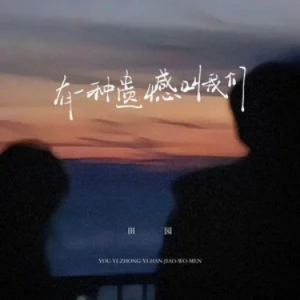 有一种遗憾叫我们钢琴简谱 数字双手