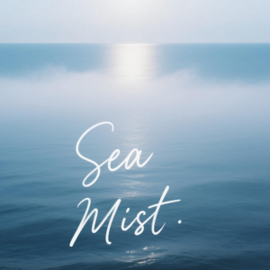 Sea Mist 海雾 带指法初级-钢琴谱