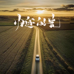 归途的光 C调简易版