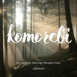 Komorebi钢琴简谱 数字双手