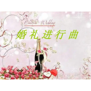 婚礼进行曲钢琴简谱 数字双手