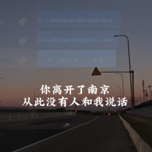 你离开了南京，从此没有人和我说话钢琴简谱 数字双手