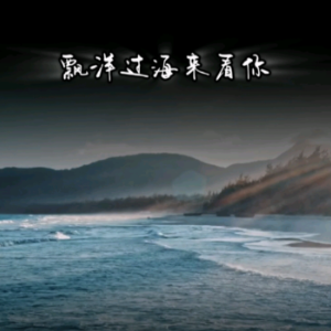 漂洋过海来看你钢琴简谱 数字双手