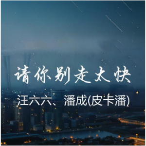 请你别走太快  原调简易版  汪六六/潘成（皮卡潘）