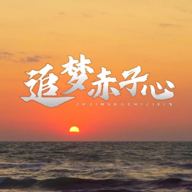 追梦赤子心钢琴简谱 数字双手