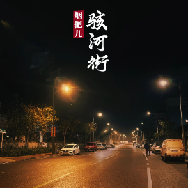 骇河街钢琴简谱 数字双手