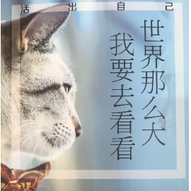 世界这么大 我要去看看钢琴简谱 数字双手