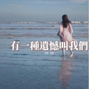 有一种遗憾叫我们钢琴简谱 数字双手