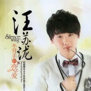 汪苏泷 不分手的恋爱D调好听易弹版-钢琴谱
