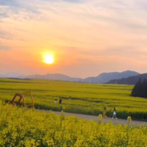 城北的花钢琴简谱 数字双手