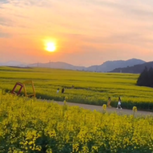 城北的花钢琴简谱 数字双手