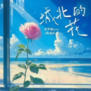 城北的花钢琴简谱 数字双手