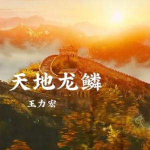 天地龙鳞 （四手联弹）C调- 纪录片《紫禁城》主题曲 王力宏-钢琴谱