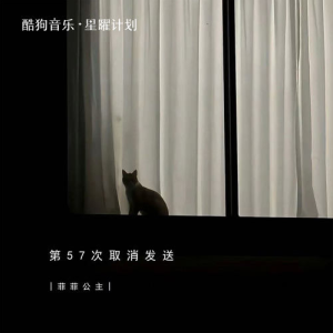 第57次取消发送—菲菲公主【入门C调简单版】-钢琴谱