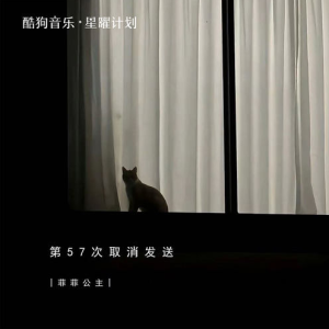 第57次取消发送—菲菲公主【入门G大调简单版】-钢琴谱