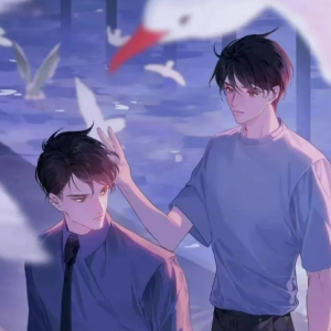 飞鸥不下-广播剧《飞鸥不下》主题曲-钢琴谱