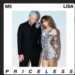 Priceless-钢琴谱