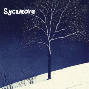 Sycamore【抒情】-钢琴谱