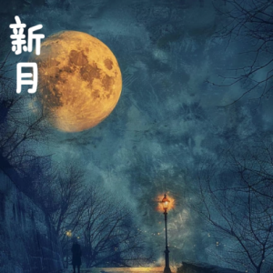 新月/New Moon 【宁静】钢琴谱