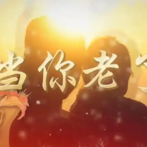 当你老了钢琴简谱 数字双手