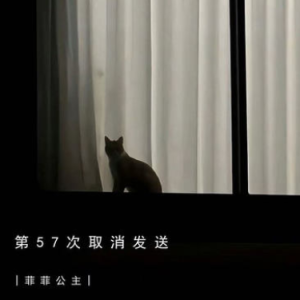 第57次取消发送钢琴简谱 数字双手