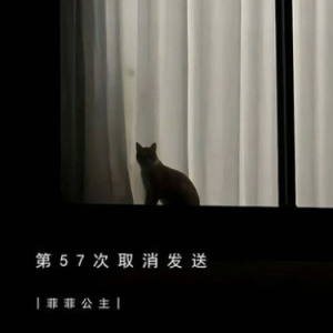 第57次取消发送 原调简易版 菲菲公主