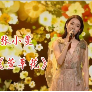 萱草花  简易钢琴弹唱伴奏 带歌词 张小斐-钢琴谱