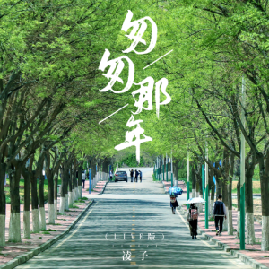 匆匆那年钢琴简谱 数字双手