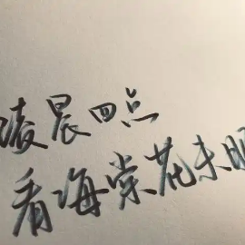 四点的海棠花未眠-钢琴谱