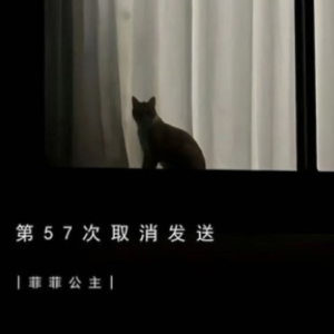 第57次取消发送钢琴简谱 数字双手