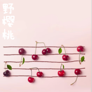 Wild Cherry钢琴简谱 数字双手