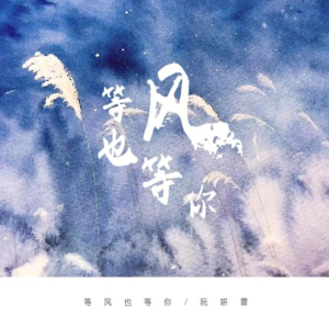 等风也等你-钢琴谱