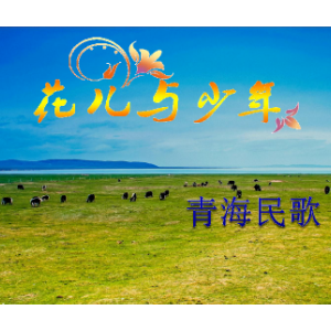 花儿与少年 青海民歌-钢琴谱